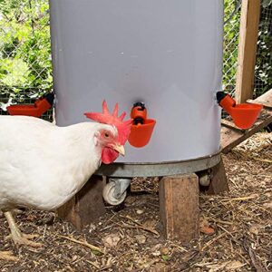 DoubleWood Fully Automatic Poultry Drinking Machine Chicken Drinking Cup, Chicken Drinking Watering Cups/Poultry Drinking Machine (24)