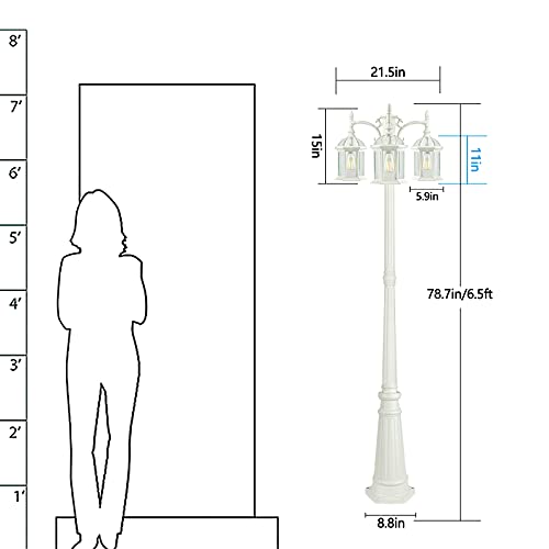 PARTPHONER 3-Head Outdoor Lamp Post Light Birdcage, Waterproof Outside White Street Light Pole with Clear Glass Shade for Yard, Garden, Patio, Path, Driveway