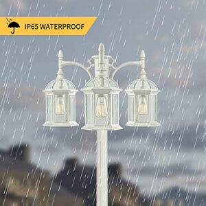 PARTPHONER 3-Head Outdoor Lamp Post Light Birdcage, Waterproof Outside White Street Light Pole with Clear Glass Shade for Yard, Garden, Patio, Path, Driveway