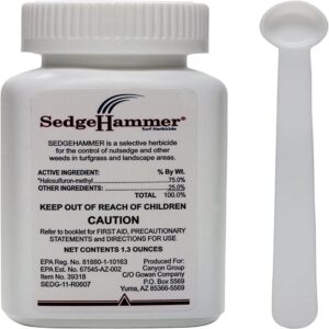 Gowan 51516 Sedgehammer, Clear