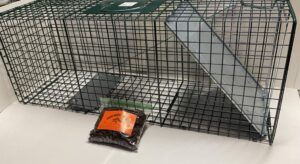fps heavy duty live trap with bait safely relocate unwanted animals size 12 high x 10 wide x 32 long free bag of raccoon bait