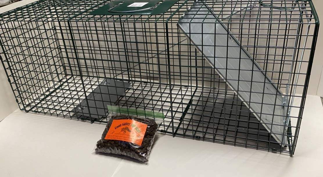 FPS Heavy Duty Live Trap with Bait Safely Relocate Unwanted Animals Size 12 High x 10 Wide x 32 Long Free Bag of Raccoon Bait