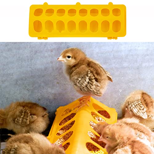 Flip Top Poultry Feeder with 16 Holes on Floor No Mess No Waste for Small Poultry Pigeon Quails Chick Ducklings Birds,2 Pieces(Yellow,Green)