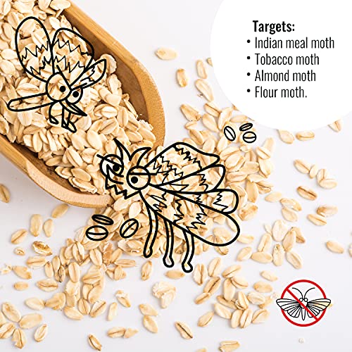 Pantry Moth Traps 6-Pack - Pantry Moth Traps for Food Moths, Pantry Pest Trap with Pheromones Prime for Grain, Flour, Seed and Meal Moths - Cupboard Moth Traps, Pest and Pantry Moth Pheromone Trap