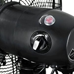 NewAir 24" Pedestal Misting Fan | 7500 CFM | Adjustable Mist Levels | Water Tank | 3 Fan Speeds | Black Mister Fan | Perfect for the Patio, Back Yard, or Outdoor Dining Space