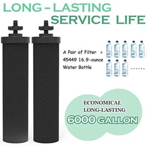 IT'S PURE EXPERT Water Filter, Replacement for Gravity Water Filter System, Black Purification Elements, 2 Packs