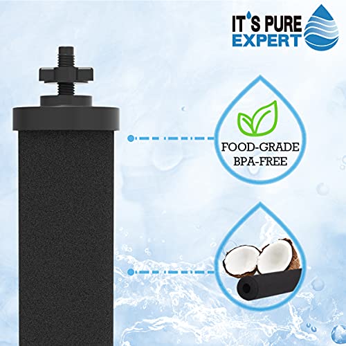 IT'S PURE EXPERT Water Filter, Replacement for Gravity Water Filter System, Black Purification Elements, 2 Packs