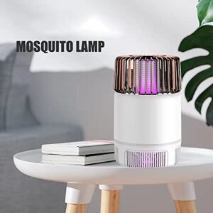 Bug Zapper Electric Mosquito Killer Lamp Fruit Fly Trap with USB Power,UV Light Fan,Indoor Insect Killer Trap for Gnat,Drain Flies,Mosquito Bug,Nontoxic,Odorless Noiseless Powerful Efficient Light