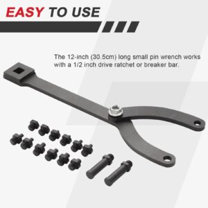DASBET Variable Cylinder Spanner Wrench Set | 15Pc Adjustable Pin with Variable Pins