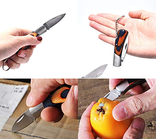 KUNSON Folding Knife, Mini Pocket Knife for Men and Women, Mini Keychain Knife for Cutting Rope, Paper, Boxes and Peeling Fruits, EDC Knife Small