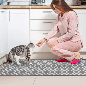 HEBE Indoor Door Mat Runner 20"x59" Non Slip Front Door Welcome Mats Washable Shoe Mats Dirt Trapper for Entryway Low Profile Kitchen Carpet for Entrance Hallways Entrance Mat for Dogs