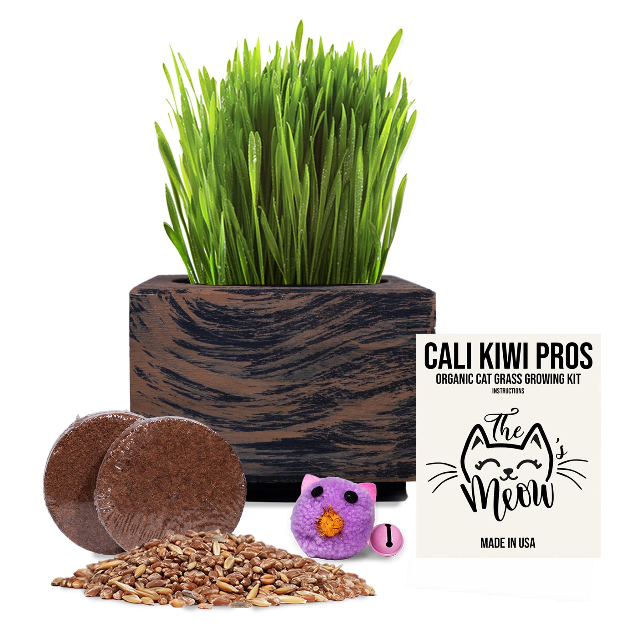 Cali Kiwi Pros Best Value Organic Cat Grass Growing Kit, Seed and Soil for 4 Plantings. Cat Toy Gift to Cats as Well as Hairball Remedy. (Wicker Brown)