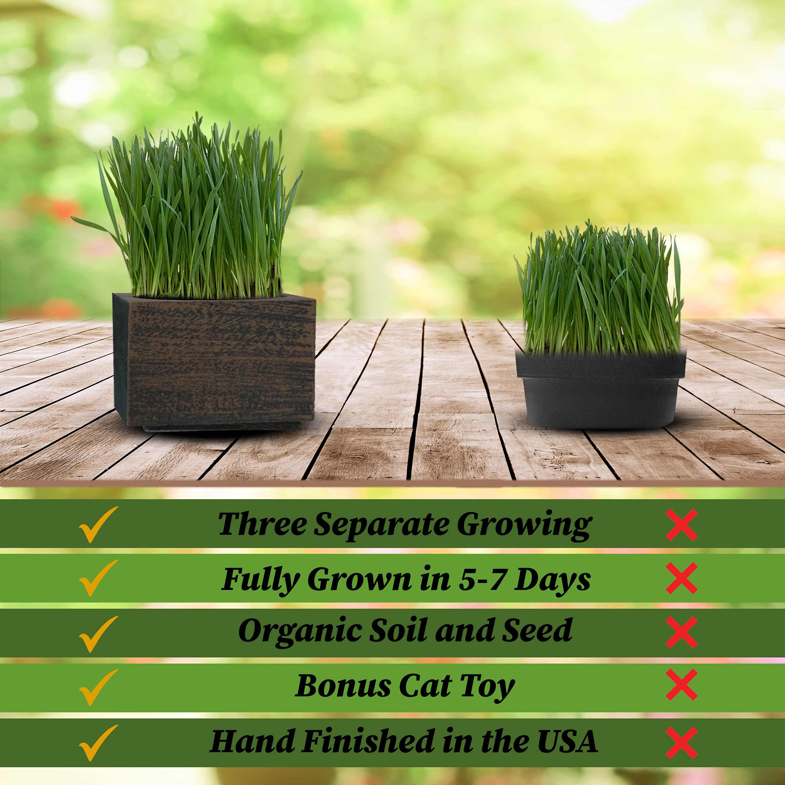 Cali Kiwi Pros Best Value Organic Cat Grass Growing Kit, Seed and Soil for 4 Plantings. Cat Toy Gift to Cats as Well as Hairball Remedy. (Wicker Brown)