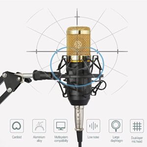 Podcast Equipment Bundle, BM-800 Mic Kit with Live Sound Card, Adjustable Mic Suspension Scissor Arm, Metal Shock Mount and Double-Layer Pop Filter for Studio Recording & Broadcasting (CF100-Gold)