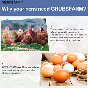 GRUBSFARM Superior to Dried Mealworms for Chickens 5lb - 85X More Calcium Than Mealworms - Non-GMO Chicken Feed - Molting Supplement - BSFL Treats for Hens, Ducks, Turkeys, Wild Birds, Quails