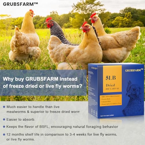 GRUBSFARM Superior to Dried Mealworms for Chickens 5lb - 85X More Calcium Than Mealworms - Non-GMO Chicken Feed - Molting Supplement - BSFL Treats for Hens, Ducks, Turkeys, Wild Birds, Quails