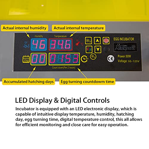 XtremepowerUS 97056-1 48 Digital Incubator with Fully Automatic Turning and Humidity Control 80W Clear Hatching for Chicken Duck Eggs, Yellow