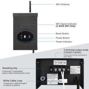 DEWENWILS 300W Smart Wi-Fi Low Voltage Transformer, Schedule and Timer, Compatible with Alexa and Google Home, 120V AC to 12V AC, Weatherproof for Landscaping Light, Spotlight, Pathway Light