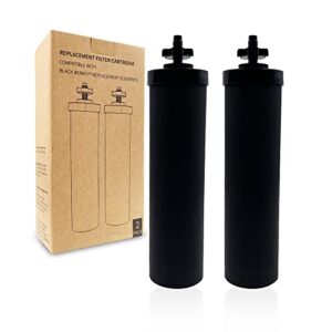 2-pack replacement black purification elements, activated carbon water filters compatible with berkey big, nomad, king, royal gravity-fed water filter system, and other gravity filter tank