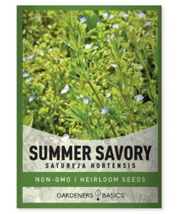 summer savory seeds for planting is a heirloom, non-gmo herb variety- satureja hortensis herb seeds great for indoor, outdoor, hydroponic gardening by gardeners basics