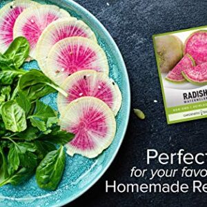 Watermelon Radish Seeds for Planting - Heirloom, Non-GMO Vegetable Seed - 2 Grams of Seeds Great for Outdoor Spring, Winter and Fall Gardening by Gardeners Basics