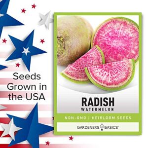 Watermelon Radish Seeds for Planting - Heirloom, Non-GMO Vegetable Seed - 2 Grams of Seeds Great for Outdoor Spring, Winter and Fall Gardening by Gardeners Basics