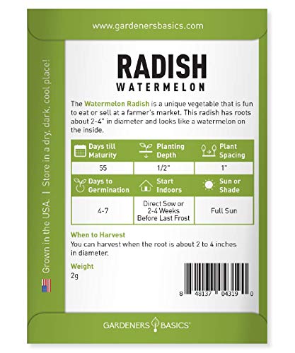 Watermelon Radish Seeds for Planting - Heirloom, Non-GMO Vegetable Seed - 2 Grams of Seeds Great for Outdoor Spring, Winter and Fall Gardening by Gardeners Basics