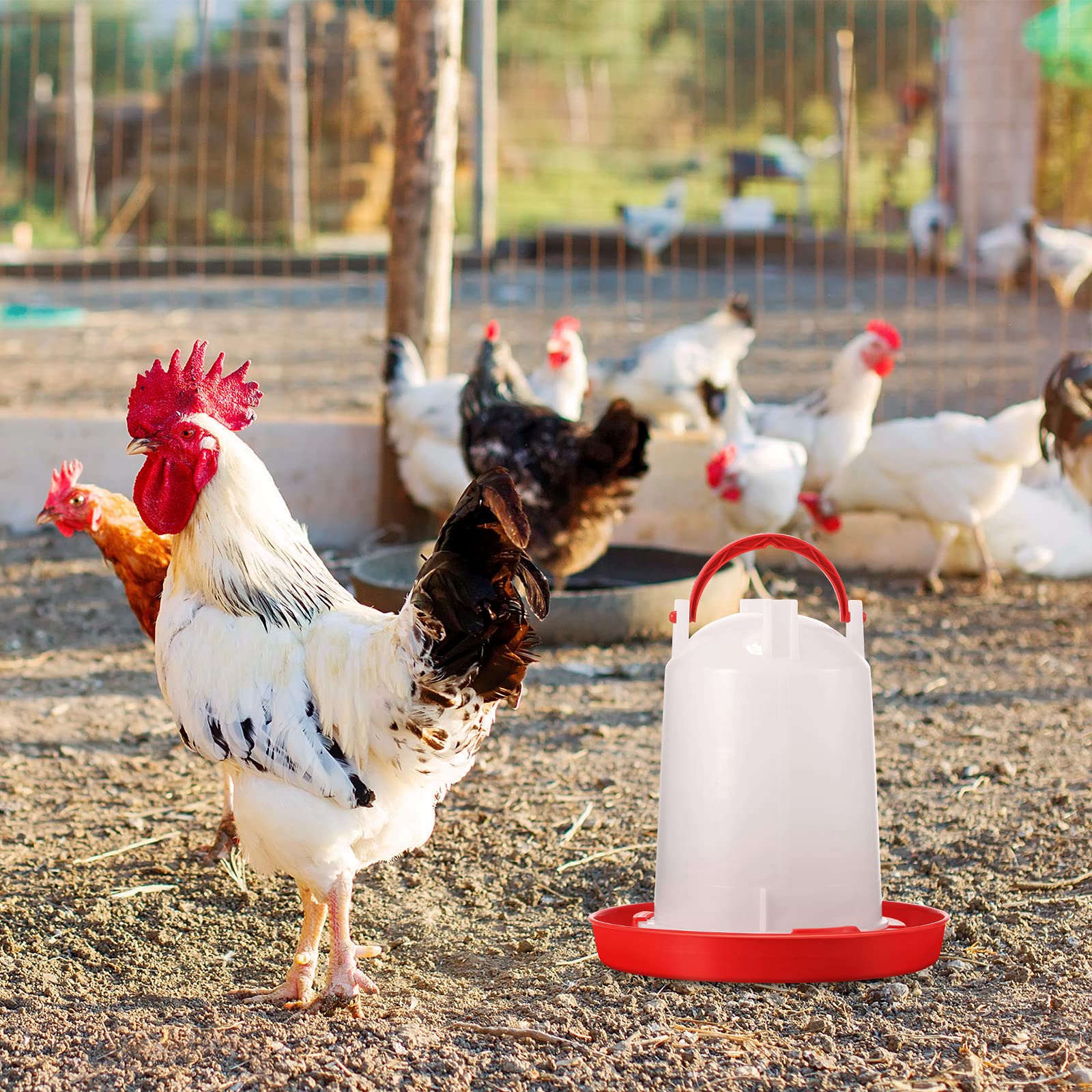 Chick Feeder and Waterer Kit Automatic Chicken Feeder 1.5L Plastic Hanging Poultry Waterer Food Feeder Set for Chicken, Quail, Hen, Duck for Farm and Coo(1.5 L, 1.5 KG)