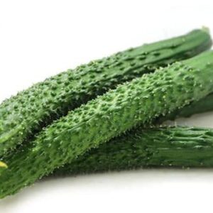 For 2024!Cucumber Seeds for Planting Vegetables and Fruits-Asian Suyo Long Cucumber Plant Seeds,Burpless Non GMO Garden Seeds Vegetable Seeds,Chinese Cucumber Seeds-11ct Veggie Seeds China Long Hybrid