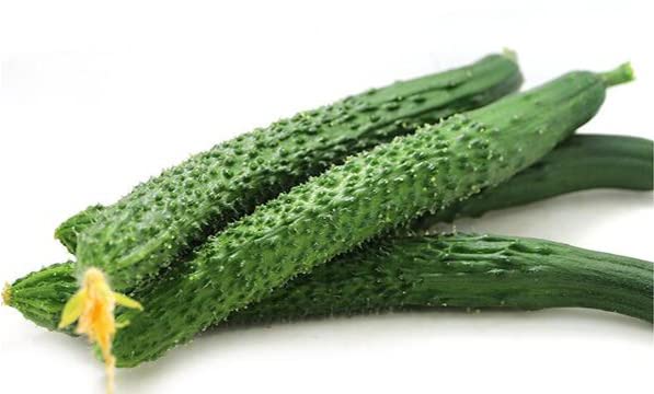 For 2024!Cucumber Seeds for Planting Vegetables and Fruits-Asian Suyo Long Cucumber Plant Seeds,Burpless Non GMO Garden Seeds Vegetable Seeds,Chinese Cucumber Seeds-11ct Veggie Seeds China Long Hybrid