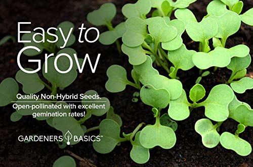 Bok Choy Chinese Cabbage Seeds for Planting - (Pak Choi) Heirloom, Non-GMO Vegetable Variety- 1 Gram Seeds Great for Summer, Spring, Fall and Winter Gardens by Gardeners Basics