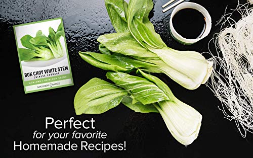 Bok Choy Chinese Cabbage Seeds for Planting - (Pak Choi) Heirloom, Non-GMO Vegetable Variety- 1 Gram Seeds Great for Summer, Spring, Fall and Winter Gardens by Gardeners Basics