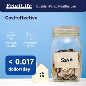 FrigiLife Water Filter Replacement for WFS5300A Under Sink Water Filter System, 22000 Gallons Ultra High Capacity, Removes 99% Lead, Fluoride, Chlorine, Bad Taste, NSF/ANSI 42 Certified, 1PACK