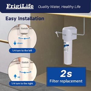 FrigiLife Water Filter Replacement for WFS5300A Under Sink Water Filter System, 22000 Gallons Ultra High Capacity, Removes 99% Lead, Fluoride, Chlorine, Bad Taste, NSF/ANSI 42 Certified, 1PACK