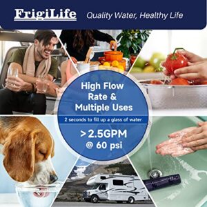 FrigiLife Water Filter Replacement for WFS5300A Under Sink Water Filter System, 22000 Gallons Ultra High Capacity, Removes 99% Lead, Fluoride, Chlorine, Bad Taste, NSF/ANSI 42 Certified, 1PACK