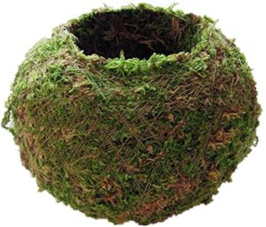 moss ball flower pot natural planter bonsai plant holder bird nest for diy gardening home table decoration - 12cm