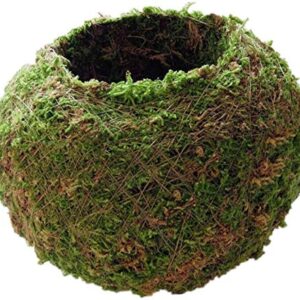 Moss Ball Flower Pot Natural Planter Bonsai Plant Holder Bird Nest for DIY Gardening Home Table Decoration - 12cm