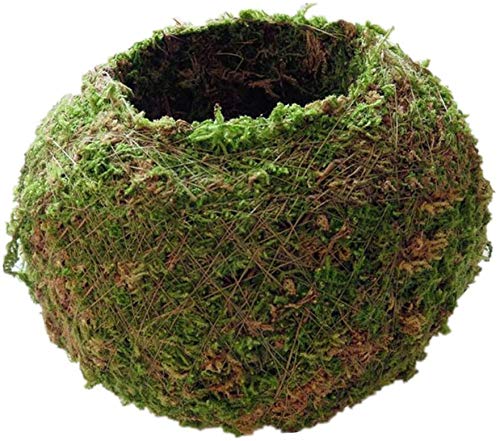 Moss Ball Flower Pot Natural Planter Bonsai Plant Holder Bird Nest for DIY Gardening Home Table Decoration - 12cm