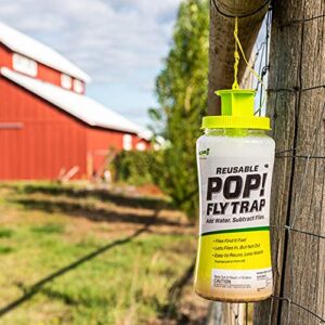 RESCUE! POP! Reusable Fly Trap with Fast-Acting Water-Soluble Attractant for Home & Agricultural Settings, Durable Recyclable Plastic (Pack of 4)