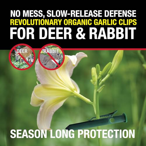 The Giant Destroyer 700 Garlic Deer & Rabbit Repellent, 12 Clips, Green