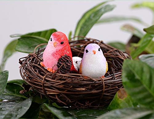 HoneyToys 8pcs Resin Mini Birds, Miniature Figurines, Fairy Garden Accessories, Fairy Garden Supplies, Fairy Garden Animals for Fairy Garden, Plant Pots, Bonsai Craft Decor