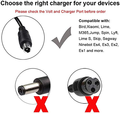 Demon 42V 2A Battery Charger Power Adapter for Bird,Lime,Lime-S, Skip, Spin, M365, Bird Charger,Lime Charger, Skip, Es4, Es3, Es2, Es1,Black