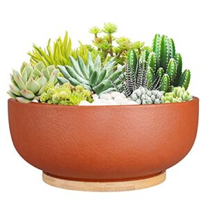 sqowl 10 inch large terracotta planter pot,clay succulent bonsai planter with drainage hole and bamboo saucer for indoor plants