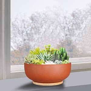 SQOWL 10 Inch Large Terracotta Planter Pot,Clay Succulent Bonsai Planter with Drainage Hole and Bamboo Saucer for Indoor Plants