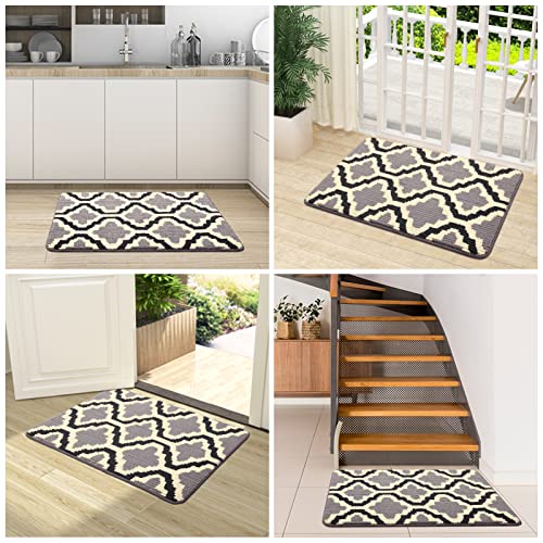 Kitinjoy Indoor Door Mat, Non-Slip, Absorbent, Dirt Resist, Entryway Mat, Low-Profile Inside Welcome Front Doormats for Entrance(32x20 inches, Grey)