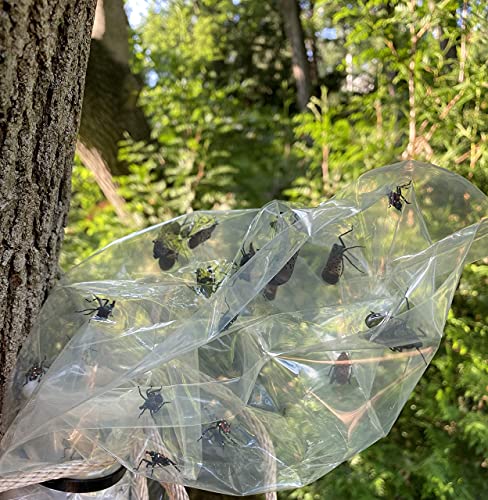 Spotted Lanternfly Tree Trap, Catch Lanternfly Without Catching Other Wildlife, Natural and Non Toxic - Made in USA