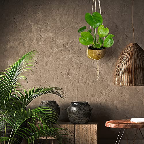 BRAINY ESSENTIALS Natural 100% Hanging Real Coconut Pot Planter - Perfect for Indoor and Outdoor Decoration, Bonsai, Flowers, Herbs - Handcrafted 100% Natural, Made of Real Coconut Bowls