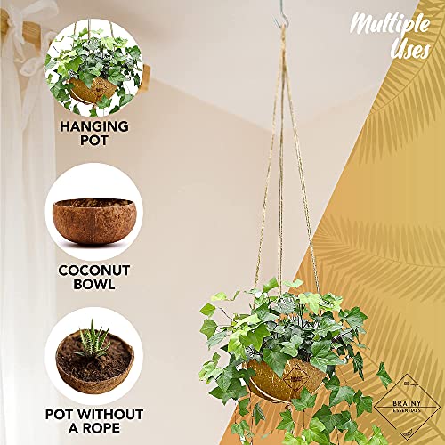 BRAINY ESSENTIALS Natural 100% Hanging Real Coconut Pot Planter - Perfect for Indoor and Outdoor Decoration, Bonsai, Flowers, Herbs - Handcrafted 100% Natural, Made of Real Coconut Bowls