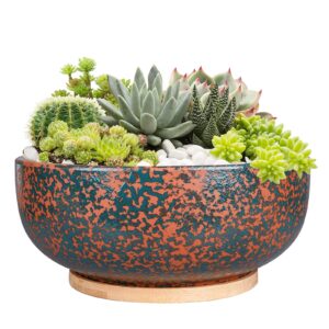 fivepot 10 inch large terracotta planter succulent plant bowl deep flower pot indoor and outdoor decor drainage bamboo tray