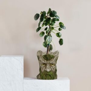 EIIORPO Face Planters Pots Head Planter, Garden Pots Resin Face Planter Flower Pots Succulent Planters Unique Planters for Indoor Outdoor Plants Garden Decorations Creative Gift. (A)